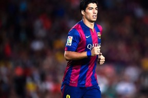 九游官网平台服务内容分析